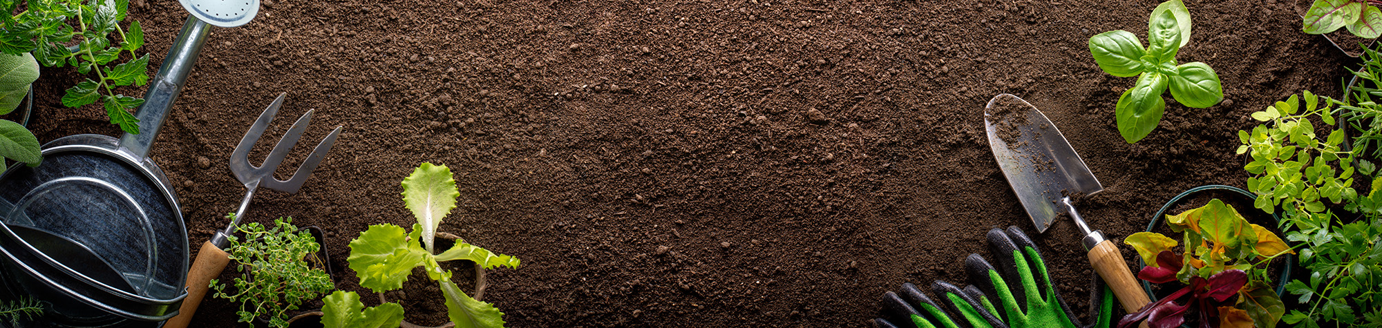 veggie-garden-header