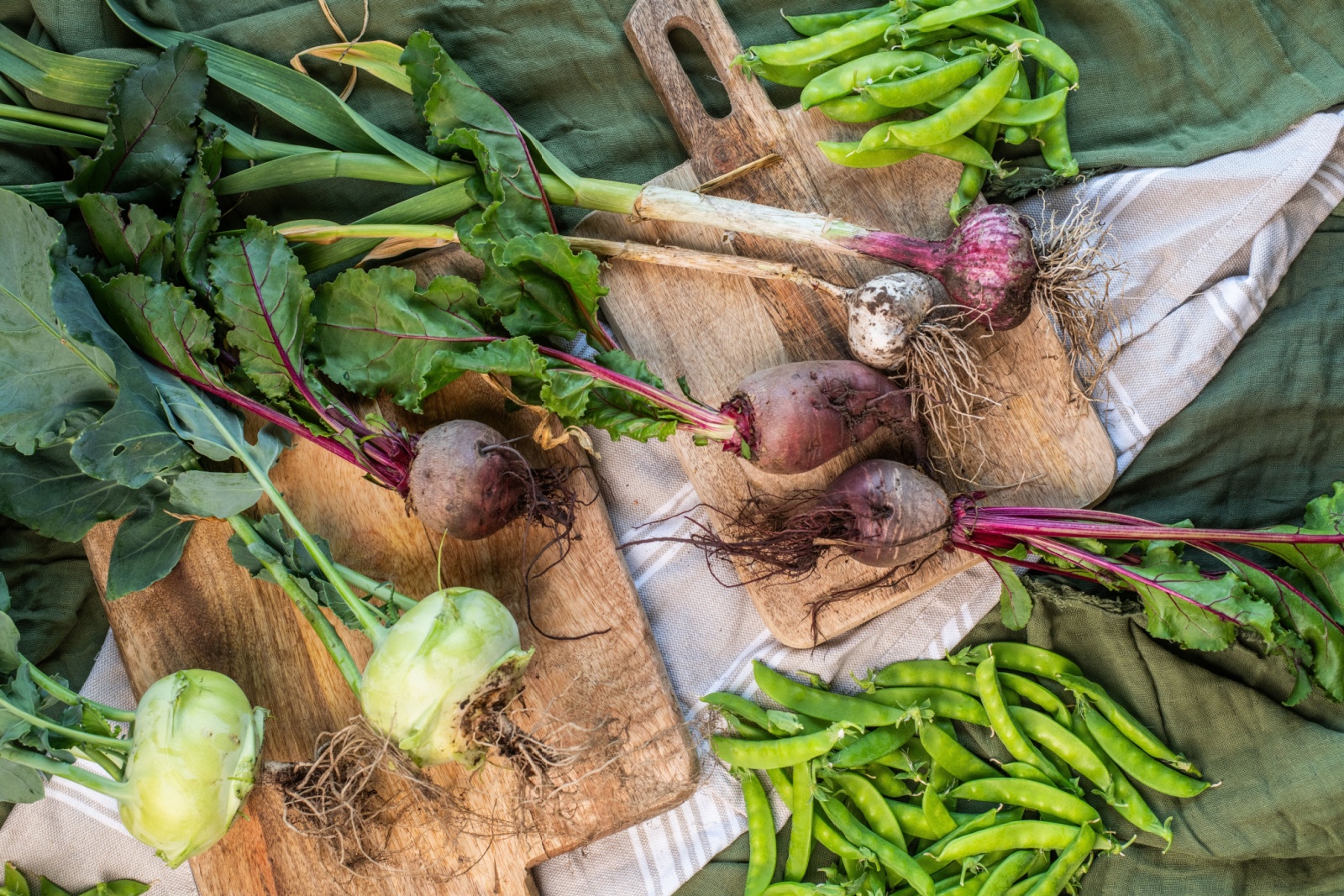 veggie-garden-intro