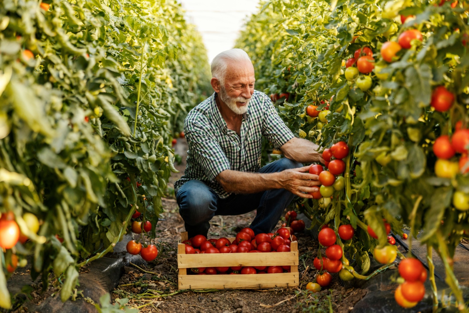 FarmersMarketGuide-facts