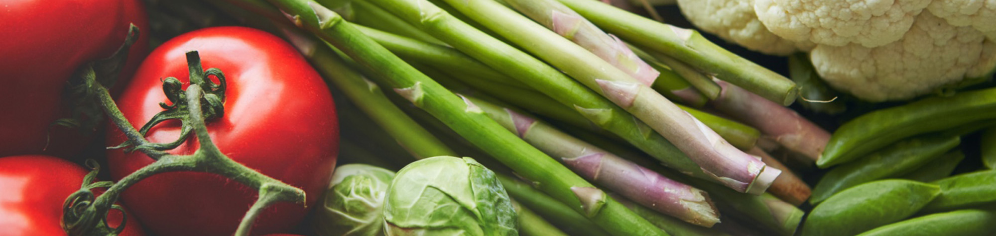 FarmersMarketGuide-header