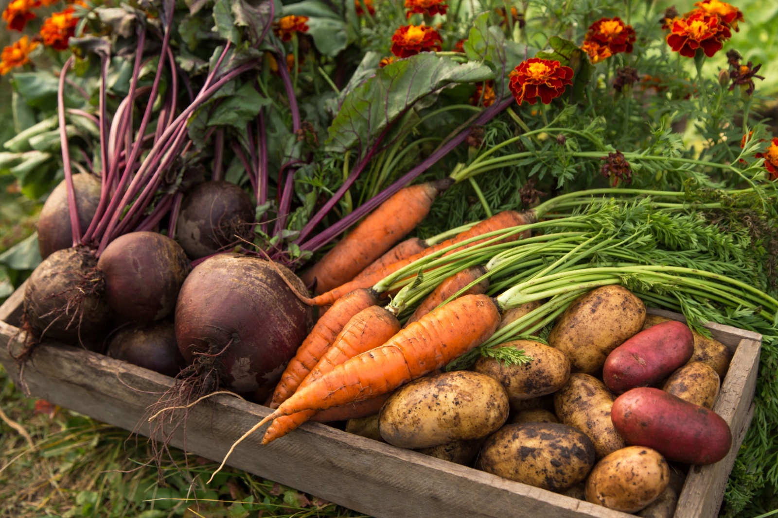 FarmersMarketGuide-resources