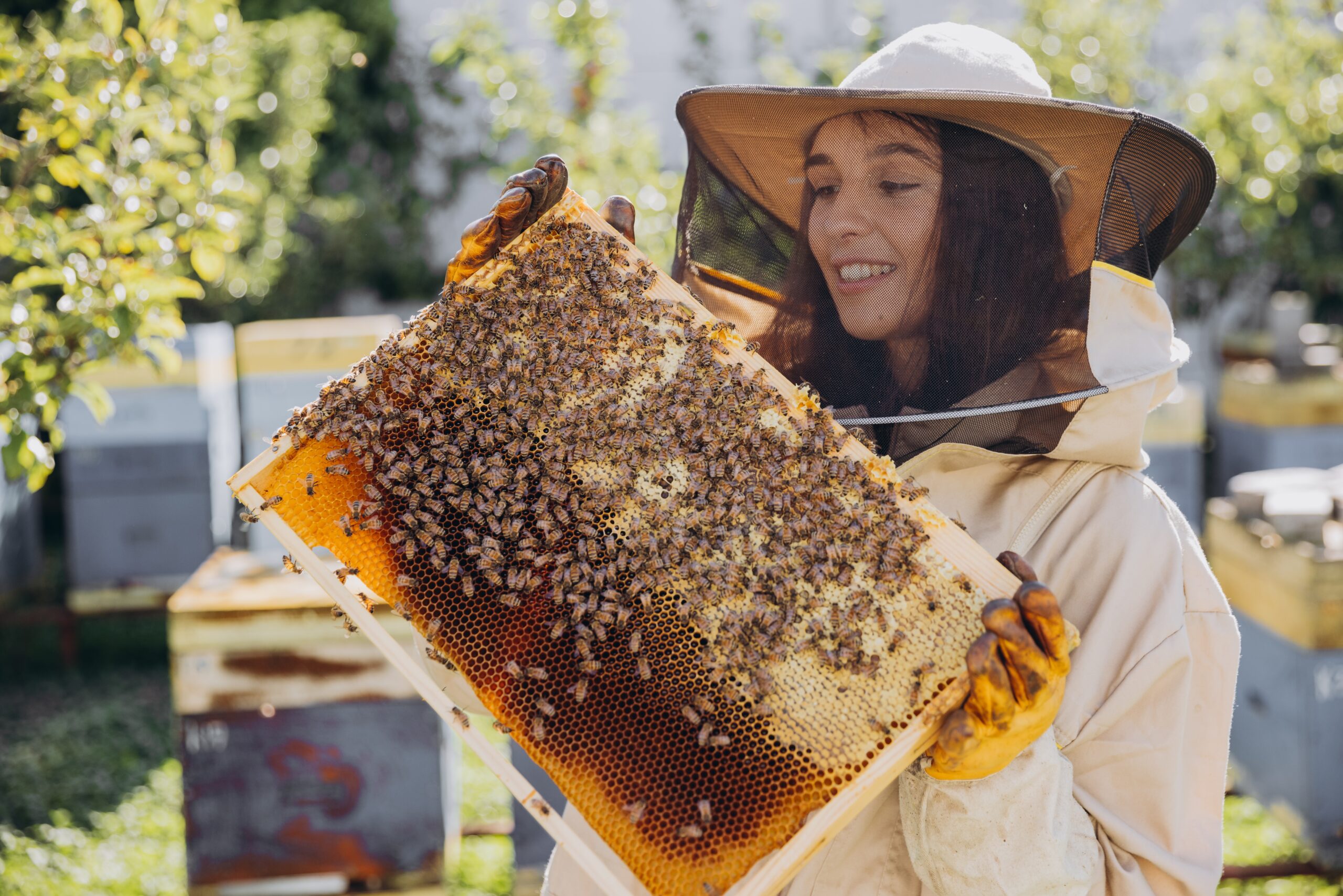 Happy,Smiling,Female,Beekeeper,In,Protective,Suit,Holding,Honeybee,Frame