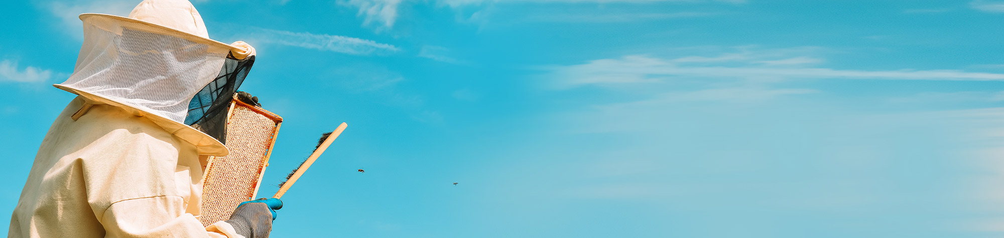 beekeeping-header
