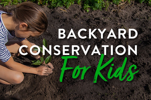 conservation-featured