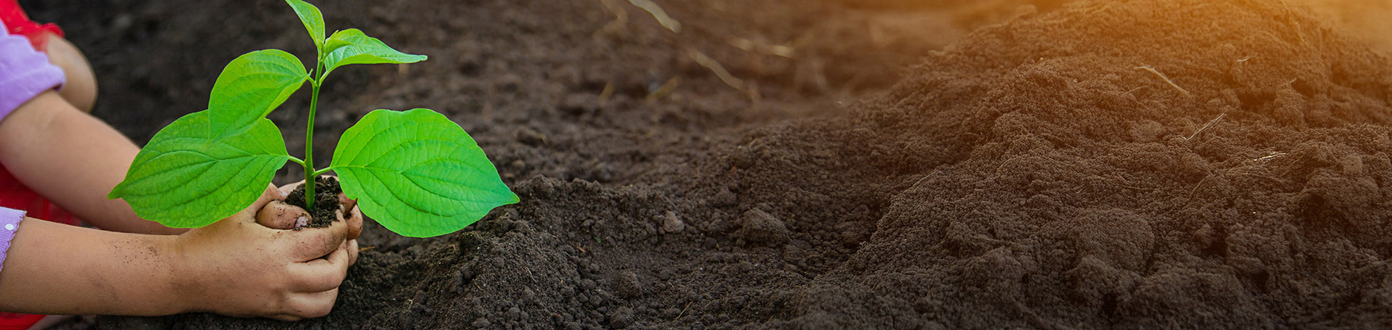 conservation-header
