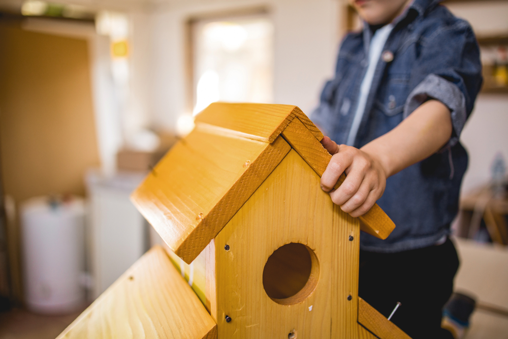 Young,Boy,Assembling,A,Birdhouse
