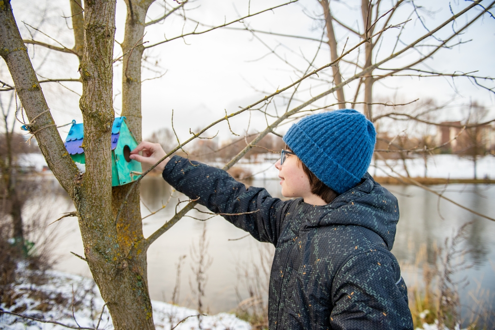 Child,Hanging,A,Colorful,Birdhouse,On,A,Tree,By,A