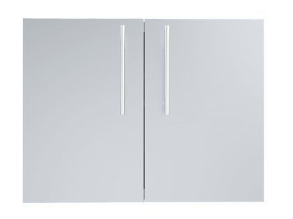 Sunstone Designer Series Raised Style 30-Inch Stainless Steel Double Door with Shelves