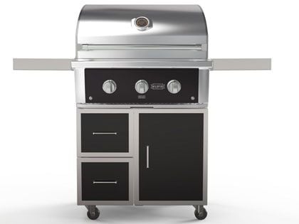wildfire WFPRO30G-BSS 2-burner freestanding grill