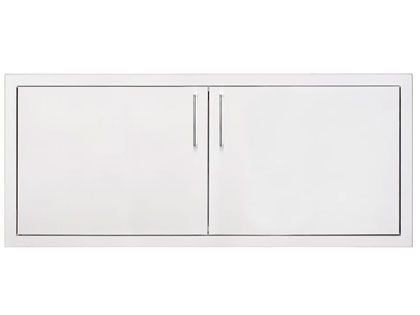 TrueFlame 40-Inch Double Access Door