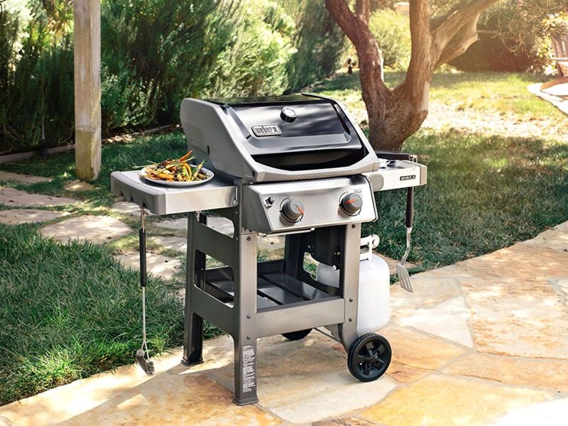 Weber bbq 2 burner online