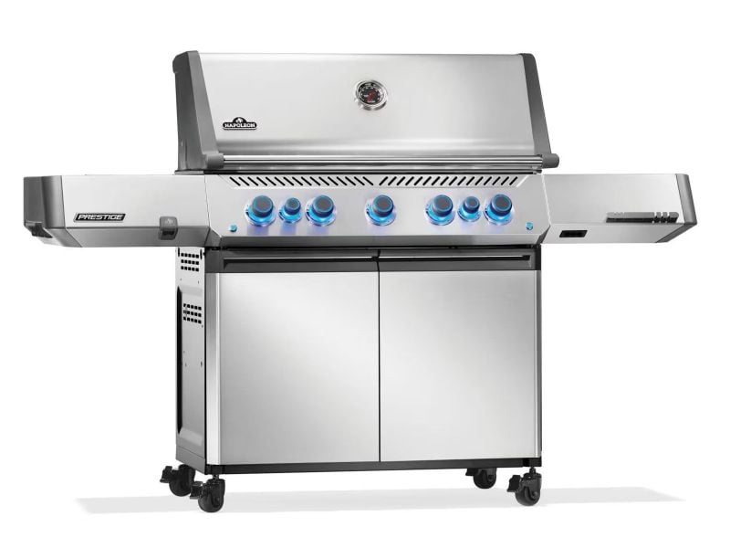 Napoleon Prestige P665VRSIBPSS, P665VRSIBNSS | Freestanding (In