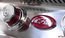 BBQ Convection Grills