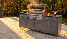 7650-002524 Challenger Designs Natural Gas, Propane Grill BBQ