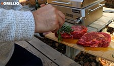 Coyote Portable Gas Grill