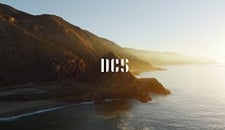 DCS Pioneers since 1989