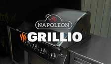 Gold Standard: Napoleon