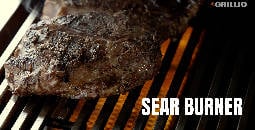 TrueFlame Infrared Sear Burner