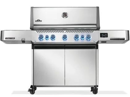 Napoleon Freestanding Gas Grills